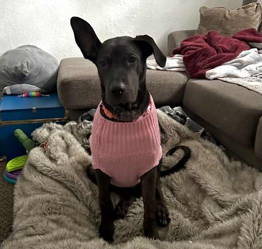 Photo of Betty Lou