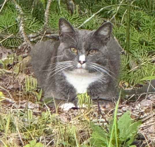 Photo of Boots 