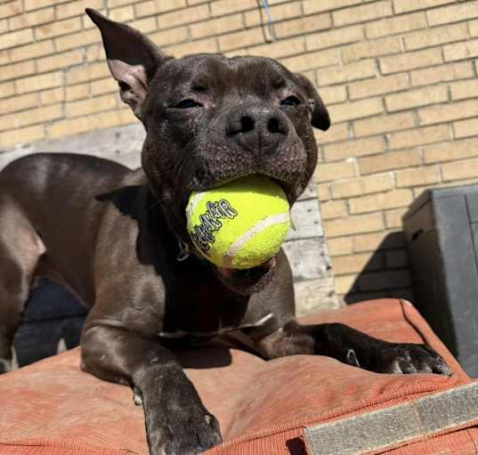 Photo of Coop