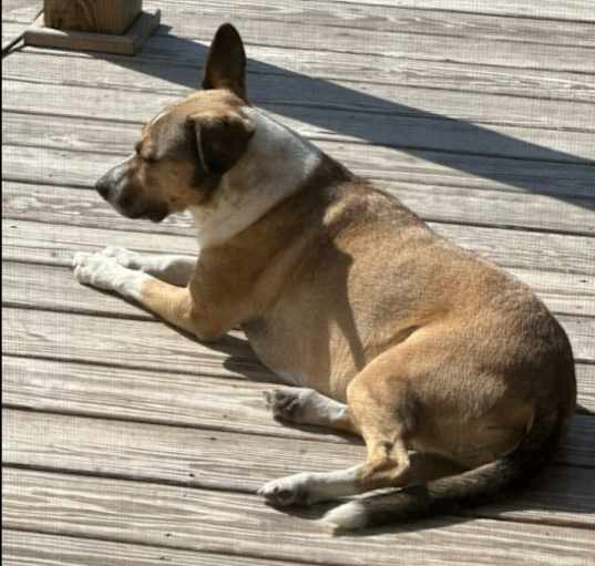 Photo of Summer