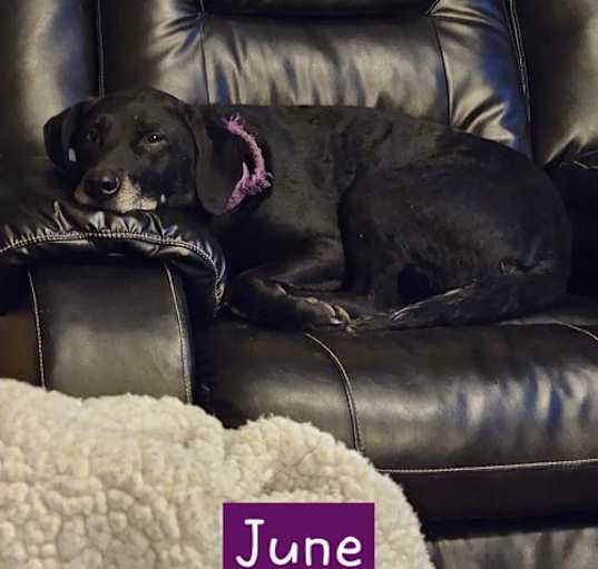 Photo of June- COURTESY POST