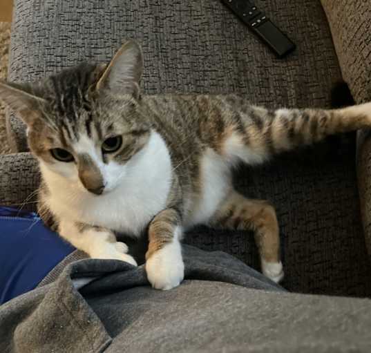 Photo of Maze