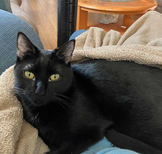 Photo of Windy