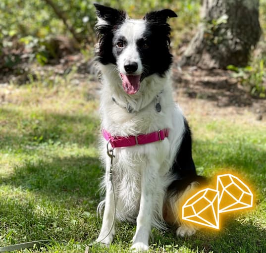 Photo of Kira