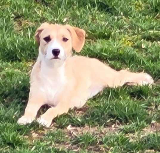 Photo of NYLA