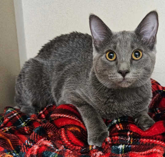 Photo of Martha