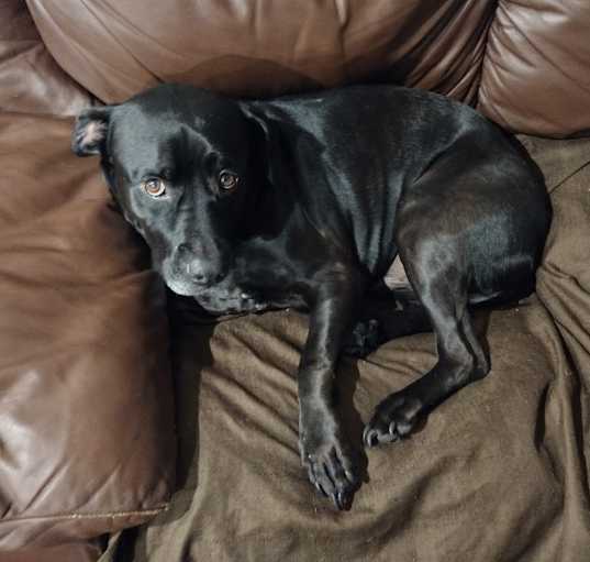 Photo of Jack