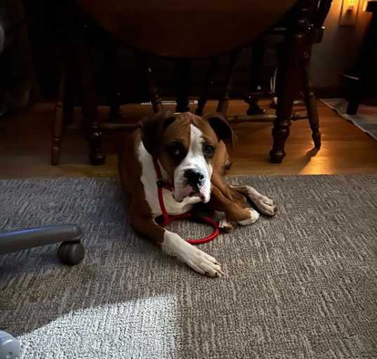 Photo of Ruthie