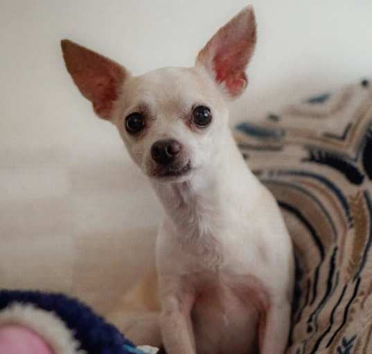 Photo of Uno