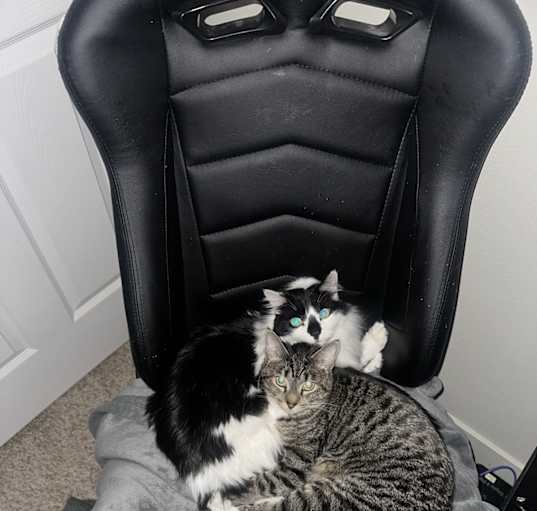 Photo of Nova & Cosmo