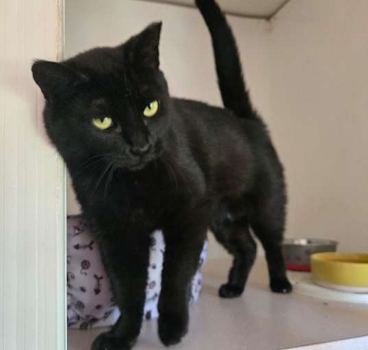 Photo of Matilda