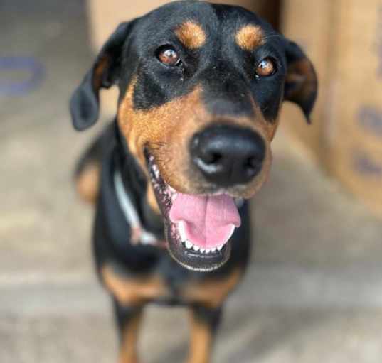 Photo of Dakota