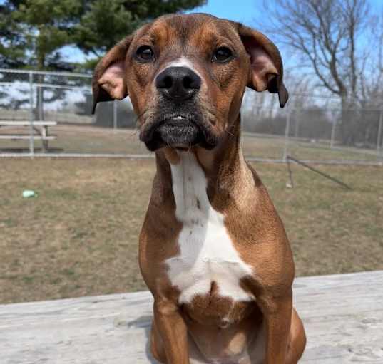 Photo of Twix