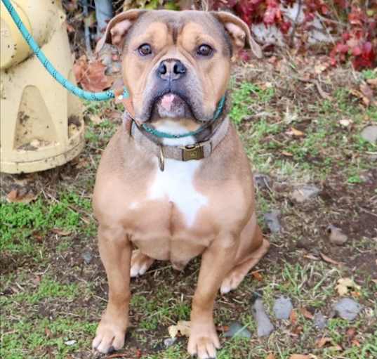 Photo of Ulysses