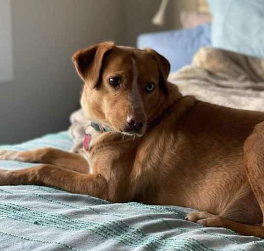 Photo of Hailey