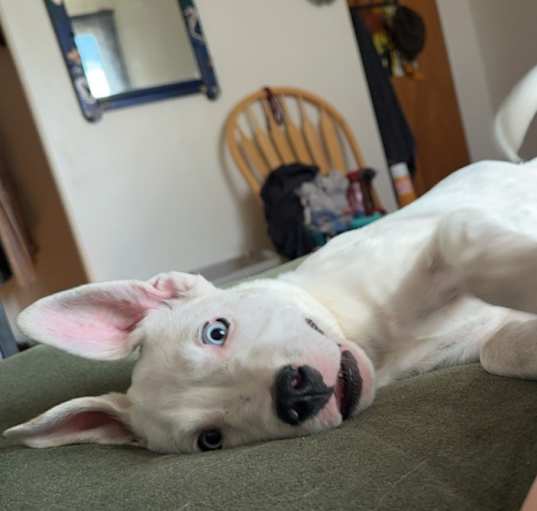 Photo of Ghost