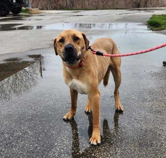 Photo of Murphy