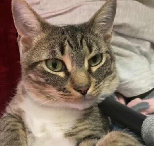Photo of Lacie