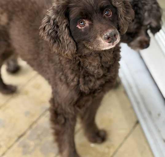 Photo of Jake