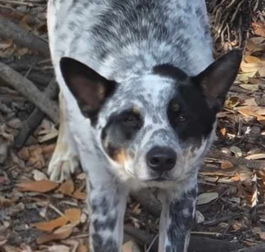 Photo of CHASE