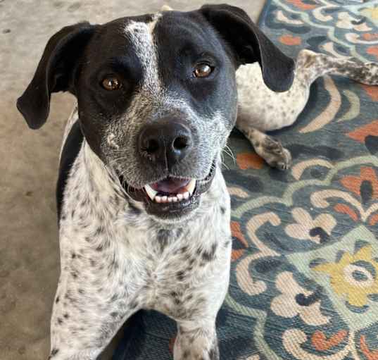 Photo of Cinder