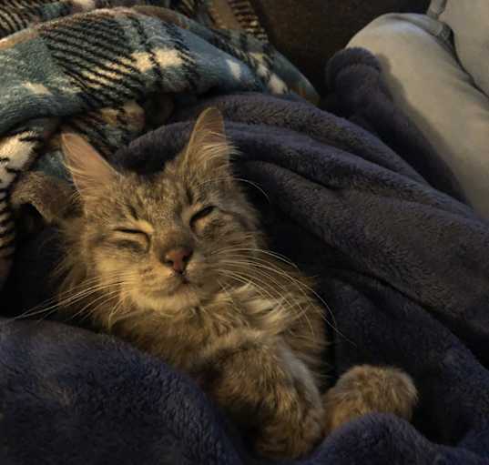 Photo of Pennie
