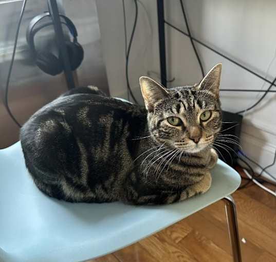 Photo of Major