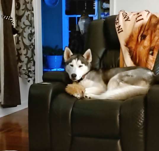 Photo of Fancy
