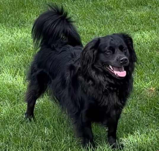 Photo of Wally