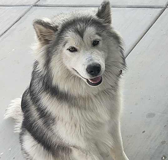 Photo of Chloe