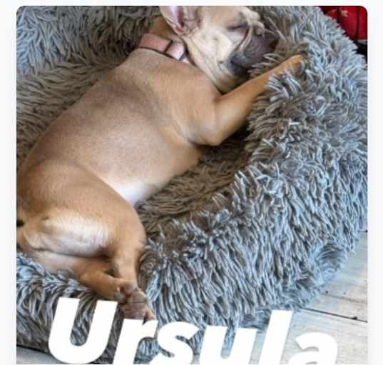 Photo of Ursula