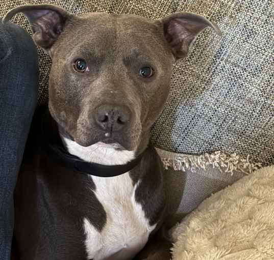 Photo of Whiskey