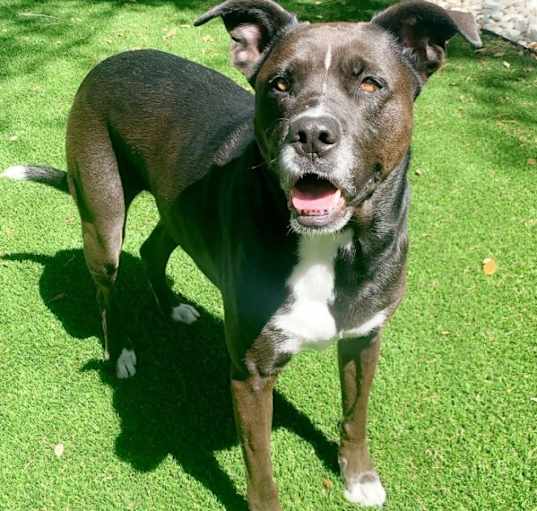 Photo of Renny