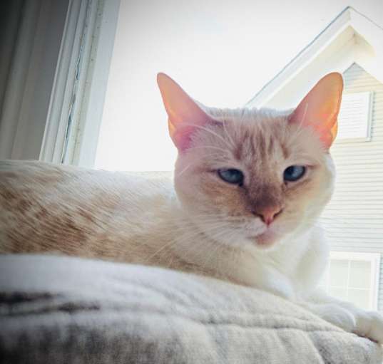 Photo of Ruthie