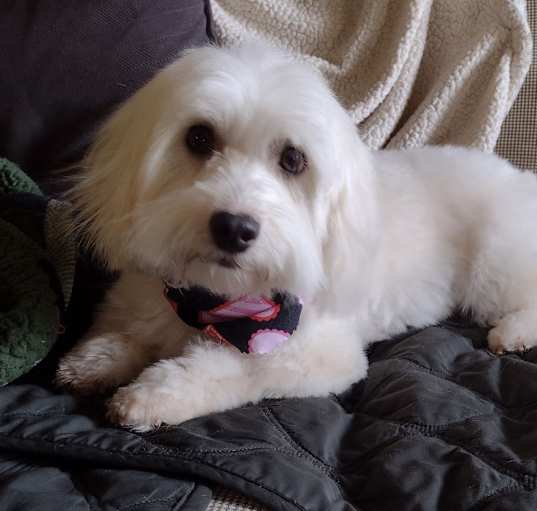 Photo of Jaxx