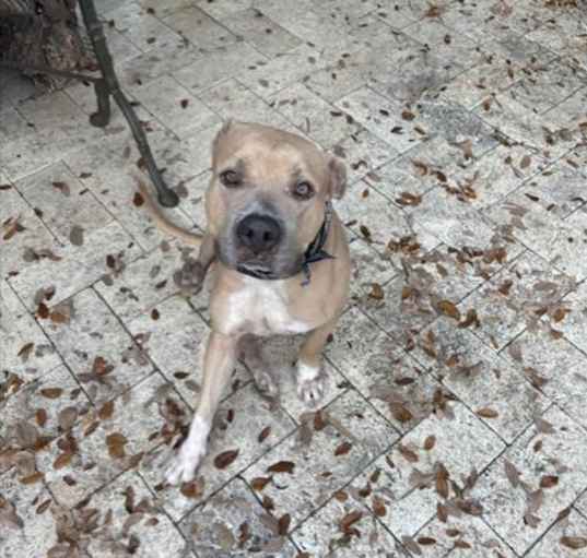 Photo of SHEBA