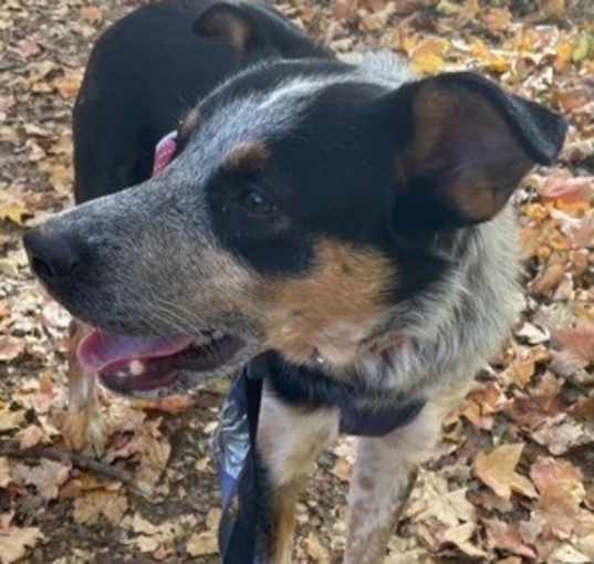 Photo of Oakley