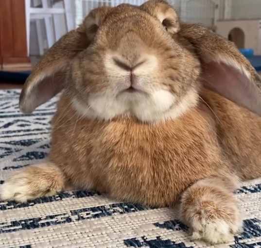 Photo of Leona