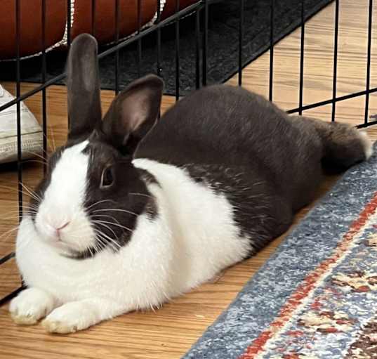 Photo of Hershey