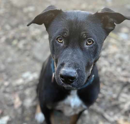 Photo of Goofy McGoo