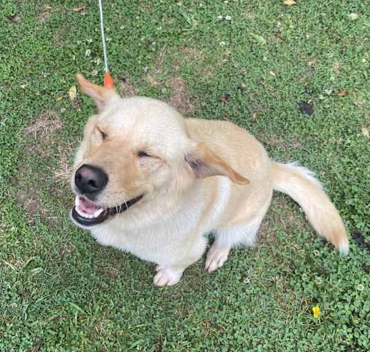 Photo of Maci