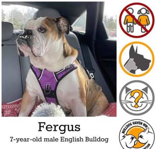 Photo of Fergus