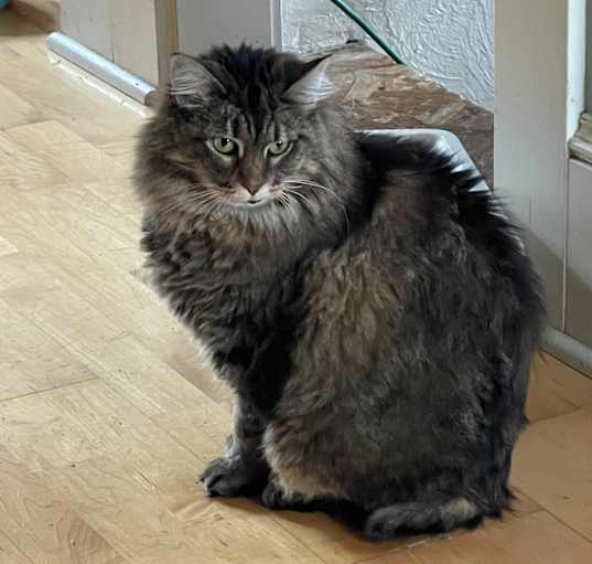 Photo of Sabina