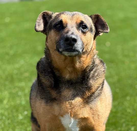 Photo of Max 9842