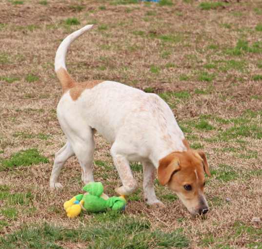 Photo of Zeedee