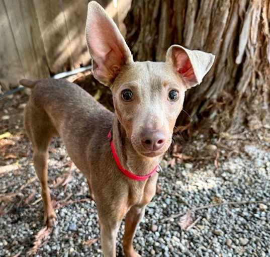 Photo of Gia