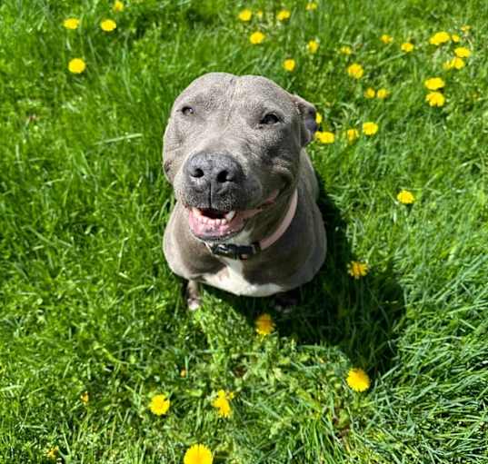 Photo of Sally
