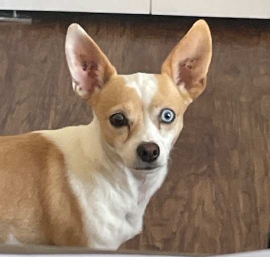 Photo of Maya