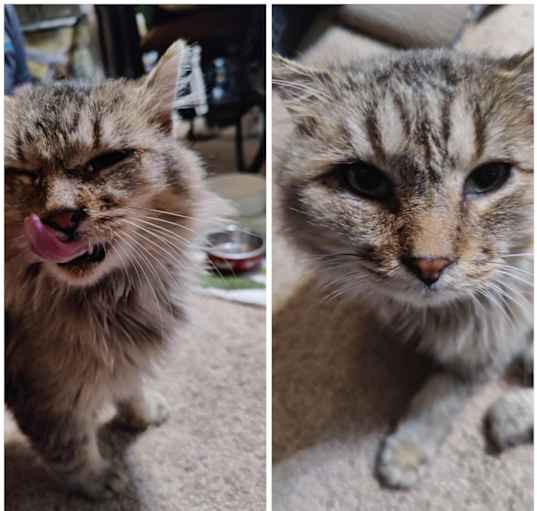Photo of Grim