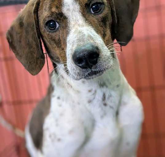 Photo of Jack Jack